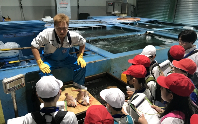 敦賀の市場を調査しよう!