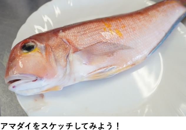敦賀の市場を調査しよう!